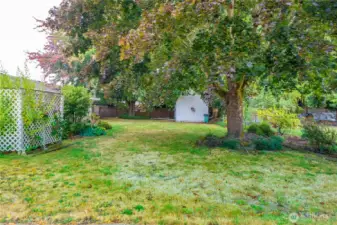 Backyard offers plenty of room to create a garden, or whatever you want.