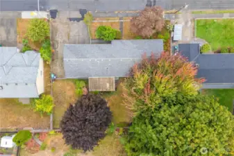 Aerial view of the lot. The SHOP is under the trees on the lower right of this photo.