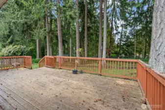 Peaceful area to relax