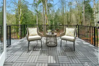 Main floor Deck / Patio