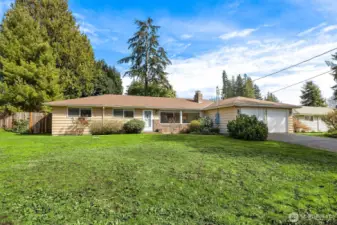 Exapansive front yard.