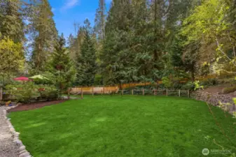 A look at the level back yard.