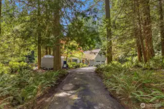 The driveway is lined with soaring evergreens and ferns, all natural NW landscaping. Welcome home! Additional parking for cars close to the home as well as camper or boat parking on site.