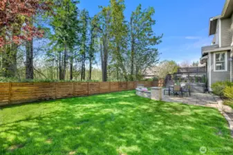Modern 4' tall fencing added in 2021