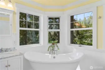 Soaking tub w/ a view