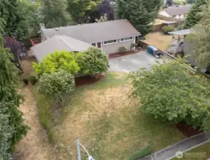 Great lot!