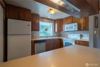 Lots of counter space and cabinets!