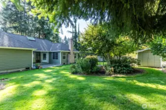 Large backyard