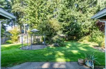 Backyard from the back door.