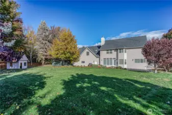 Back yard with shed