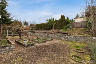 Backyard with Garden Space