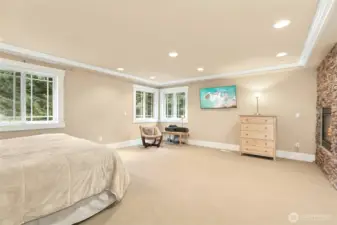 Luxurious primary suite highlighted by an elegant fireplace.