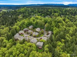 Rosemont in timberline, a peaceful 14 homes neighborhood surrounded by forest.