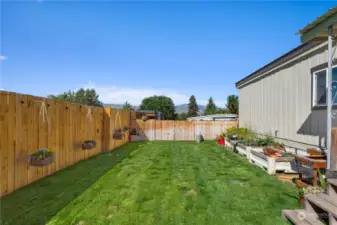 Fenced rear yard