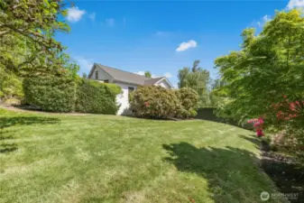 The sunny front yard is bordered by mature maples and rhododendrons.