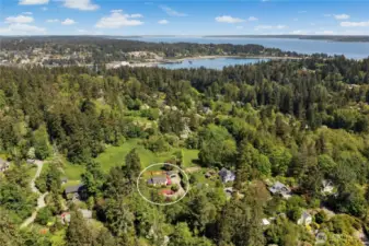 A little piece of paradise on Bainbridge Island!