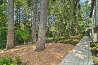 Dedicated open space provides pleasant buffer and summer shade