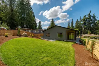 Back yard