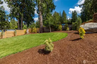 Back yard