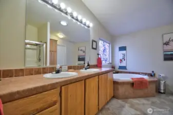 Five piece primary bathroom suite.
