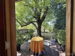 Hidden garden of main bedroom, so cozy!