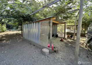 A little corner of the chicken park!