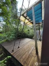 Rear deck with custom ladder to the roof