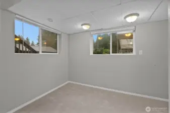 Lower level bedroom