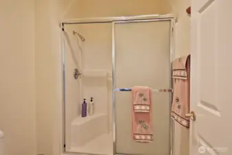 Primary shower (upstairs)