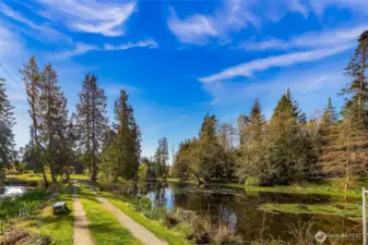 Lost Lake Community Island.