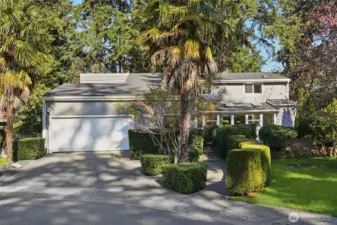 Palm trees add a tropical feel to the lush greenery