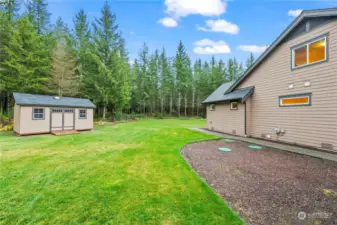 Expansive, level outdoor space embraced by a canopy of towering green trees. Don't forget the large storage shed!