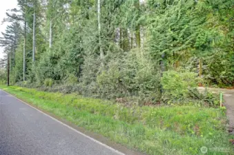 Mountain View Road
