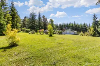 Upper section of the 5 acres with fruit trees, garden space and 1440 sq foot shop.