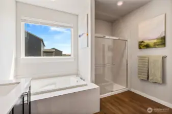 Tub and separate shower in primary suite