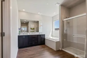 Primary Suite Bathroom