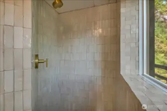 Zia Zellige tile