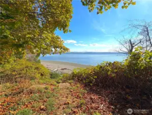 neighborhood beach