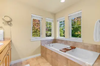 Primary w/ 2 walk-in closets, double vanities & soaking tub