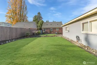 View of yard from the back looking at house