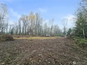 Looking West from back corner.