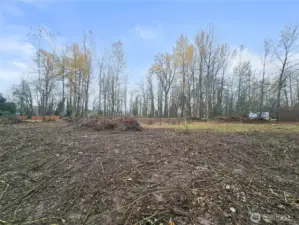 Looking west from back edge.