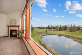 Looking west, out onto the woodland meadow from the living room.