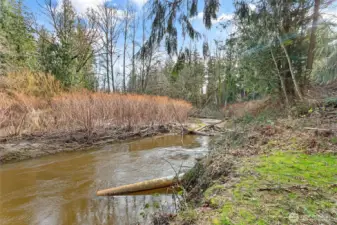 Fishtrap Creek -This is a great place to cool down at or even float down during the summer!