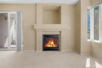 Gas fireplace (paid by HOA)