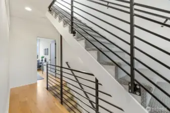 Cool feature staircase.