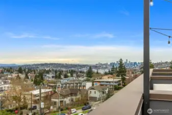 Roof deck has great privacy and excellent views.