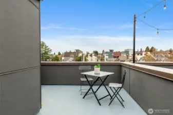 Roof deck has great privacy and excellent views.