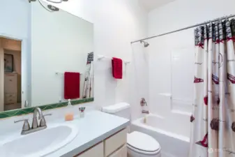 Lower level full bathroom