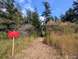 This is a temporary trail from the neighboring property. The cabin is less than 50 feet from this sign. Buyers will need to re-establish a trail from the property area to the cabin.